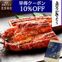 【早得10%OFFクーポンで8,876円】父の日 早割 プレゼント ギフトうなぎ 蒲焼き 155-167g×3尾 大サイズ 大盛3人前 送料無料 国産 愛知県産...