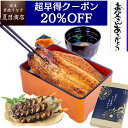 【超早得20％OFFクーポン利用で6,052円】父の日 早割 プレゼント ギフトうなぎ 蒲焼 大サイズ 155-167g×2尾と肝蒲焼き串×3本 大盛2人前 送料無料 国産 愛知県産 専門店 39(サンキュー)ショップ 母の日 お祝い 誕生日 食べ物 真空パック 贈り物 60代 70代 80代 孫