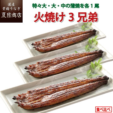 ★火焼け3兄弟★ うなぎ 蒲焼き 特々大・大・中 各1尾 送料無料 国産 専門店 母の日 父の日 誕生日 プレゼント 食べ物 贈り物 ギフト