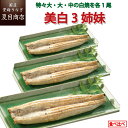 ★美白3姉妹★ うなぎ 白焼き 特々大・大・中 各1尾 食べ比べ 約4人前 送料無料 国産 愛知県産 専門店 39(サンキュー)ショップ 母の日 父の日 誕生日...