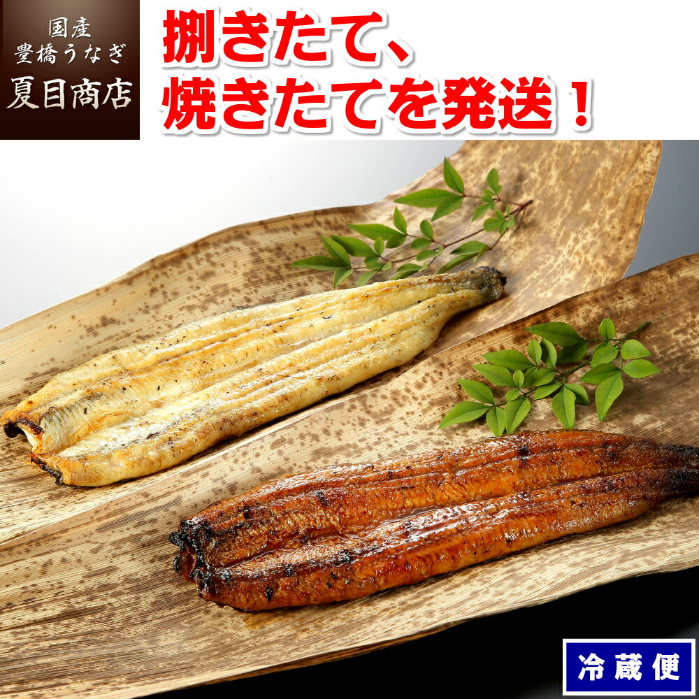 うなぎ蒲焼き（白焼きも可能）135-160g(肝焼き付)×2尾 送料無料 国産 愛知県産 三河産 専門店 活〆 生 冷蔵 チルド