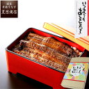 敬老の日 プレゼント ギフトうなぎ 鰻 ウナギ unagi 蒲焼き 中サイズ 115-130g×2尾 約2人前送料無料 国産 愛知県産 専門店 お中元 敬老の日 暑中御見舞 残暑御見舞 誕生日 食べ物 真空パック 贈り物 内祝い 60代 70代 80代 孫