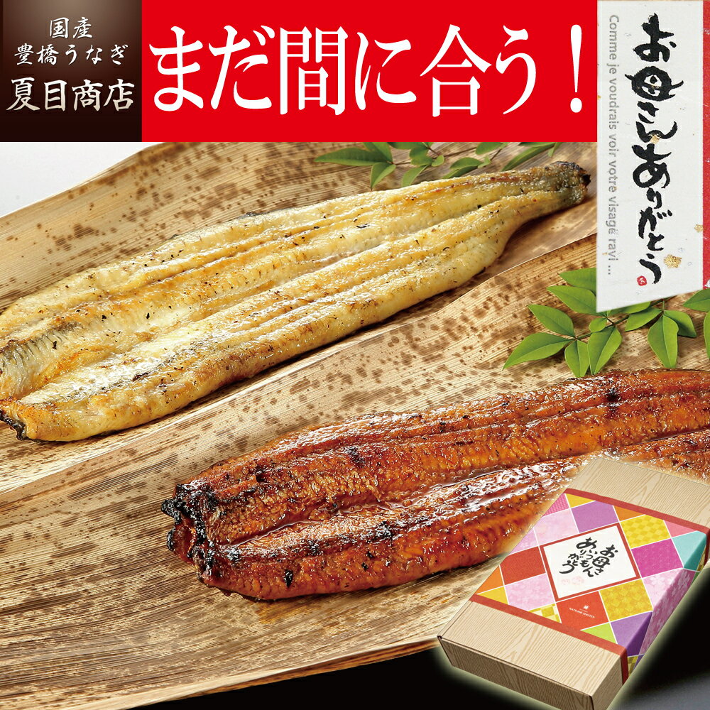 遅れてごめんね。母の日 プレゼント「うなぎ 専門店 浜名湖山吹」 国産ふっくら柔らか うなぎ(鰻) 串蒲焼き・お吸い物2人前セット（生花 カーネーション 付き）送料無料！