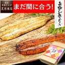 まだ間に合う！ 母の日 プレゼント ギフトうなぎ 紅白セット 蒲焼 白焼 155-167g×各1尾 大サイズ 大盛2人前 送料無料 国産 愛知県産 食べ物 贈り物 花以外 60代 70代 母の日当日に間に合います