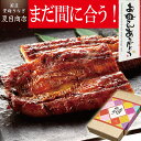 母の日 まだ間に合う ギフト プレゼント うなぎ 蒲焼き 155-167g×3尾 大サイズ 大盛3人前 送料無料 国産 愛知県産 専門店 39(サンキュー)ショップ 母の日 父の日 お祝い 誕生日 食べ物 真空パック 贈り物 花以外 60代 70代