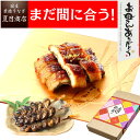 母の日 まだ間に合う プレゼント ギフトうなぎ 蒲焼 きざみ 50-60g×3袋と肝蒲焼き串×3本 少量3人前送料無料 国産 愛知県産 専門店 39(サンキュー...