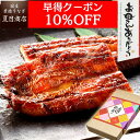 【早得10％OFFクーポン利用で8,876円