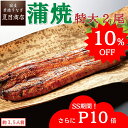\10%OFF & P10倍で実質5,866円/ うなぎ蒲焼き 特大181-210g×2尾 約3.5人前 送料無料 国産 愛知県産 専門店 お中元 敬老の日 誕生日 プレゼント 食べ物 真空パック 贈り物 内祝い ギフト