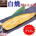 \エントリーでP12倍→実質14,136円/ うなぎ白焼 特々大211-249g×4尾 約8人前 岩塩付 送料無料 国産 愛知県産 専門店 39(サンキュー)ショップ お中元 土用丑 土用の丑の日 暑中御見舞 誕生日 プレゼント 食べ物 真空パック 贈り物 ギフト