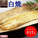 \エントリーでP17倍→実質18,139円/ うなぎ白焼き 特大181-210g×6尾 約10人前 岩塩付 送料無料 国産 愛知県産 専門店 39(サンキュー)ショップ お中元 土用丑 土用の丑の日 暑中御見舞 誕生日 プレゼント 食べ物 真空パック 贈り物 ギフト