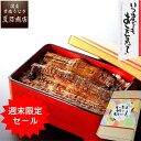 \週末限定セール!エントリーで→実質4,770円/ 敬老の日 プレゼント ギフトうなぎ 鰻 ウナギ unagi 蒲焼き 中サイズ 115-130g×2尾 約2人前送料無料 国産 愛知県産 専門店 お中元 敬老の日 誕生日 食べ物 真空パック 贈り物 内祝い 60代 70代 80代 孫