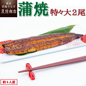 【最大200円OFFクーポン】うなぎ蒲焼き 特々大211-249g×2尾 約4人前送料無料 国産 愛知県産 専門店 お歳暮 誕生日 プレゼント 食べ物 真空パック 贈り物 内祝い ギフト