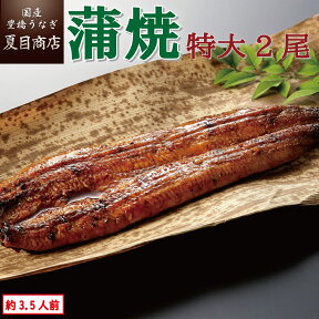 うなぎ蒲焼き 特大181-210g×2尾 約3.5人前 送料無料 国産 愛知県産 専門店 39(サンキュー)ショップ 母の日 父の日 お祝い 誕生日 プレゼント 食べ物 真空パック 贈り物 ギフト