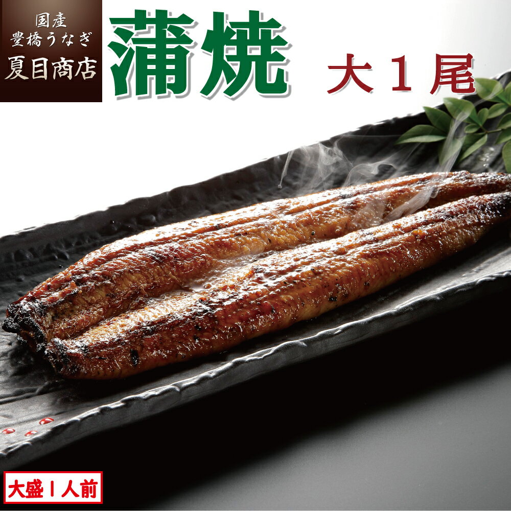 うなぎ蒲焼 大155-180g×1尾 大盛1人前 送料無料の品物と同梱可 国産 愛知県産 三河産 専門店 39(サンキュー)ショップ 母の日 父の日 誕生日 プレゼント 食べ物 贈り物 ギフト