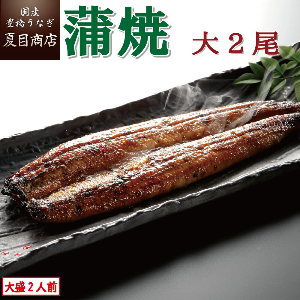 蒲焼き 【SS期間限定通常6,721円→5,999円】★総合ランキング1位獲得★ うなぎ 蒲焼 大155-180g×2尾 大盛2人前 送料無料 国産 愛知県産 専門店 39(サンキュー)ショップ 父の日 お中元 お祝い 誕生日 プレゼント 食べ物 真空パック 贈り物 ギフト