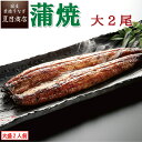 夏目商店 うなぎ ★総合ランキング1位獲得★ うなぎ 蒲焼 大155-180g×2尾 大盛2人前 送料無料 国産 愛知県産 専門店 39(サンキュー)ショップ 母の日 父の日 お祝い 誕生日 プレゼント 食べ物 真空パック 贈り物 ギフト