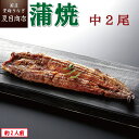 夏目商店 うなぎ うなぎ蒲焼き 中115-130g×2尾 約2人前 送料無料 国産 愛知県産 専門店 39(サンキュー)ショップ 母の日 父の日 お祝い 誕生日 プレゼント 食べ物 真空パック 贈り物 ギフト