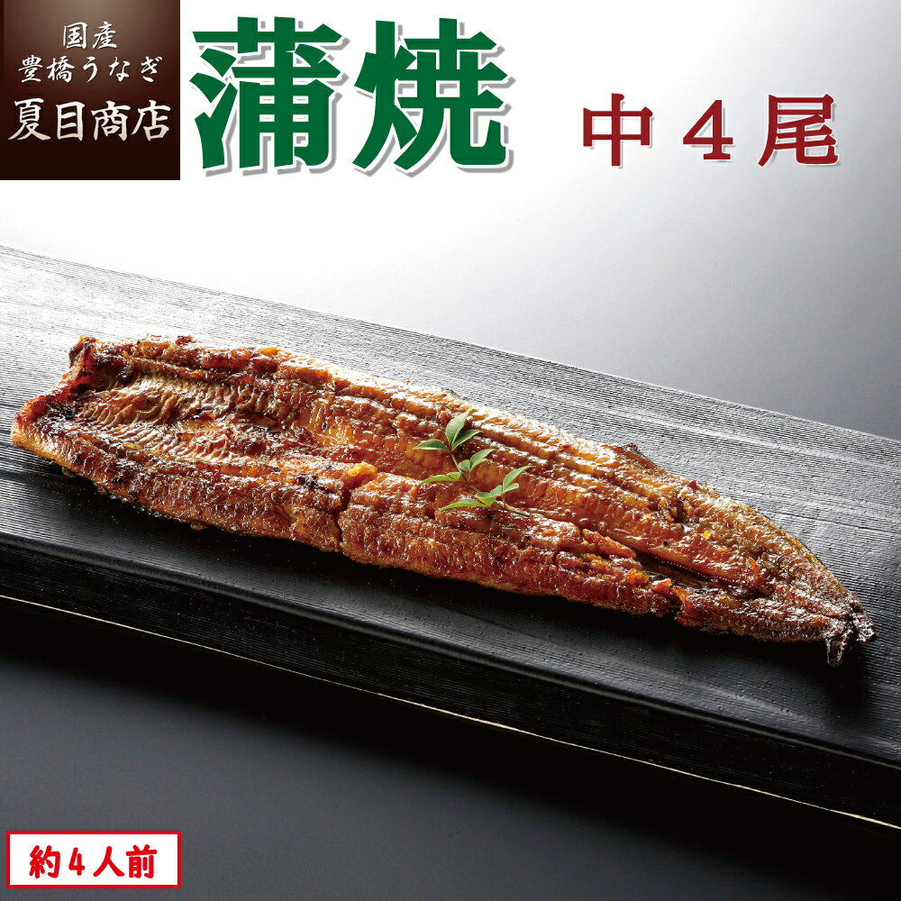 夏目商店 うなぎ うなぎ蒲焼き 中115-130g×4尾 約4人前 送料無料 国産 愛知県産 専門店 39(サンキュー)ショップ 父の日 お中元 お祝い 誕生日 プレゼント 食べ物 真空パック 贈り物 ギフト