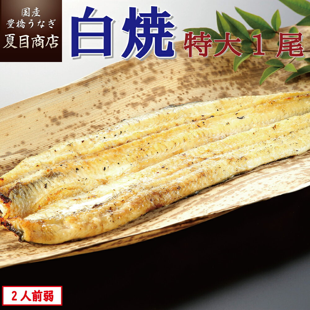 うなぎ白焼き 特大181-210g×1尾 1.5-2人前 岩塩付 送料無料 国産 愛知県産 専門店 39(サンキュー)ショップ バレンタイン お祝い 誕生日 プレゼント 食べ物 真空パック 贈り物 ギフト