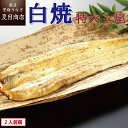 【本日P4倍以上確定!!】うなぎ白焼き 特大181-210g×1尾 1.5-2人前 岩塩付 送料無料 国産 愛知県産 三河産 専門店 39(サンキュー)ショップ ハロウィン 誕生日 プレゼント 食べ物 真空パック 贈り物 ギフト