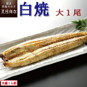 うなぎ白焼 大155-180g×1尾 大盛1人前 岩塩付 送料無料の品物と同梱可 国産 愛知県産 専門店 39(サンキュー)ショップ 母の日 父の日 誕生日 プ...