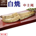 白焼き 【エントリーでP12倍以上確定！】うなぎ白焼き 中115-130g×2尾 約2人前 岩塩付 送料無料 国産 愛知県産 専門店 39(サンキュー)ショップ 母の日 父の日 お祝い 誕生日 プレゼント 食べ物 真空パック 贈り物 ギフト