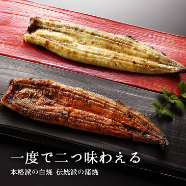 お中元ギフト〈商標登録〉豊橋うなぎ蒲焼き白焼き 211-230g×各1尾【特々大サイズ 約4人前】【送料無料 国産 国内産】【父の日 お中元 贈り物 ギフト】