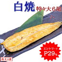 \WエントリーでP29%で実質17,823円/ うなぎ白焼 特々大211-249g×6尾 約12人前 岩塩付 送料無料 国産 愛知県産 専門店 お中元 敬老の日...