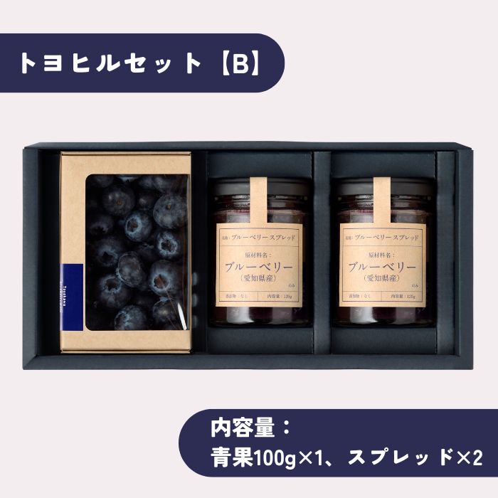 トヨカワブルーベリーヒルズ ブルーベリー トヨヒルセット【B】 愛知県産 青果100g...