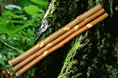 【森のおくりもの】手作り鉛筆3本 fs2gm通販格安セール情報 楽天 通販