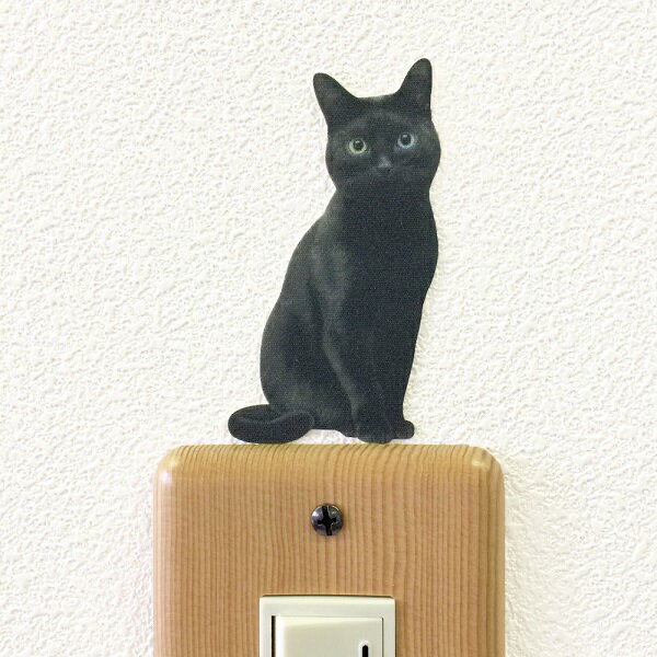 猫 カラーウォールステッカー 【CAT LIFE Color 黒猫】 カラー インテリア ねこ ステッカー オッドアイ ネコ 壁 雑貨 グッズ シール　Wall Story ウォールストーリーのサムネイル