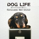 犬 カラーウォールステッカー 【DOG LIFE Color　ミニチュアダックスフンド　ブラックタン ...