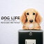  顼륹ƥå DOG LIFE Color ߥ˥奢åեɡ꡼ۥ顼 ƥå å   ƥå ƥꥢ    Wall Story