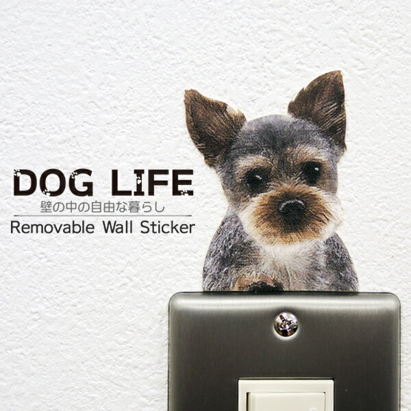 犬 カラーウォールステッカー 【DOG LIFE Color　ヨークシャテリア】カラー ステッカー 犬 雑貨 グッズ インテリア 壁 シール ドッグ W..