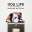 ָ 顼륹ƥå DOG LIFE Color֥ɥåۥ顼 ƥå ֥ɥå   ƥꥢ    ɥåƥå ɥå å   Wall Story 륹ȡ꡼פ򸫤