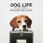  顼륹ƥå DOG LIFE Colorӡۥ顼 ƥå   ƥꥢ   ɥåƥå ɥå åWall Story 륹ȡ꡼