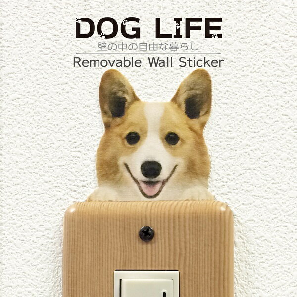  顼륹ƥå DOG LIFE ColorBۥ顼 ƥå   ƥꥢ   ɥåƥå ɥå åWall Story 륹ȡ꡼