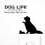  륹ƥå DOG LIFE+СˡޥƥɥåʱȢˡ   ƥꥢ  롡Wall Story 륹ȡ꡼ å