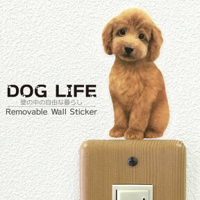 犬 カラーウォールステッカー 【DOG LIFE Color　トイプードル レッド（お座り）】トイプ カラー ステッカー 犬 雑貨 インテリア シール ドッグステッカー ドッグ グッズ　Wall Story ウォールストーリー