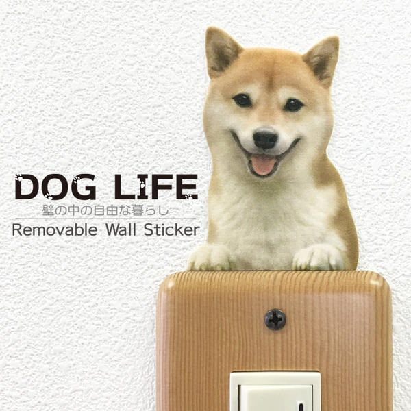 ָ 顼륹ƥå DOG LIFE ColorƸB 顼 ƥå   ƥꥢ  ɥåƥå ɥå åWall Story 륹ȡ꡼פ򸫤