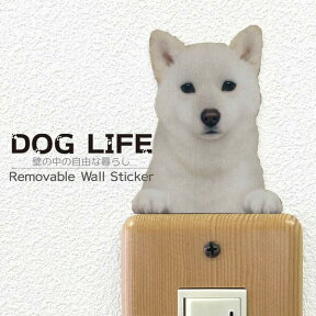 犬 カラーウォールステッカー 【DOG LIFE Color　柴犬　白毛】 白柴　カラー ステッカー 犬 雑貨 インテリア 犬 シール ドッグステッカー ドッグ グッズ　Wall Story ウォールストーリー