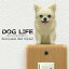  顼륹ƥå DOG LIFE Color ۥ磻ȡ۾  顼 ƥå   ƥꥢ  襤 İ ɥåƥå ɥå å Wall Story 륹ȡ꡼