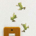 カエル グッズ 【FROGS!Color アマガエル】カラー ウォールステッカー カエル雑貨 爬虫類 ...