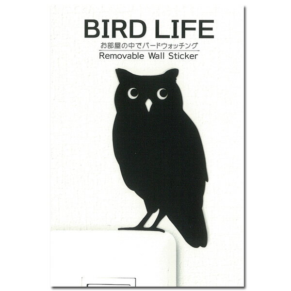 ふくろう ウォールステッカー【BIRD LIFE　コノハズク】壁 シール コンパニオンバード 鳥 小鳥 動物 アニマル 野鳥 グッズ インテリア コンセント スイッチWall Story その1