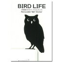 ふくろう ウォールステッカー【BIRD LIFE　コノハズク】壁 シール コンパニオンバード 鳥 小 ...