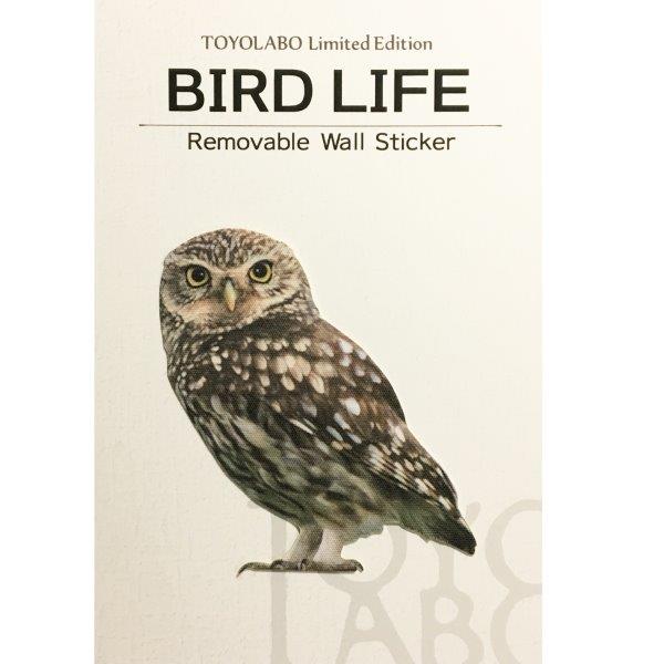 フクロウ 鳥 バードの価格と最安値 おすすめ通販を激安で