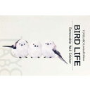 鳥 カラーウォールステッカー【BIRD LIFE Color シマエナガ カラー】小鳥 雑貨 グッズ バードウォッチング 壁 シール 野鳥 鳥雑貨 動物 アニ...