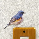 TOYO LABO Shop㤨Ļ 顼륹ƥåBIRD LIFE Colorӥ顼(ۥСɥå Ļ  å ưʪ ˥ޥ ƥꥢ  롡Wall Story 륹ȡ꡼פβǤʤ680ߤˤʤޤ