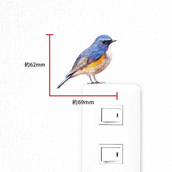 鳥 カラーウォールステッカー【BIRD LIF...の紹介画像3