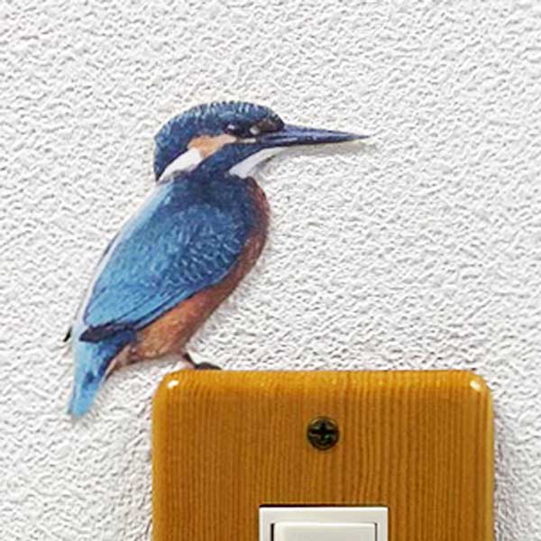 鳥 カラーウォールステッカー【BIRD LIFE Color カワセミ カラー(右向き)】川蝉 壁 シール バードウォッチング 鳥 小鳥 雑貨 グッズ 動物 アニマル ペット インテリア Wall Story ウォールストーリー